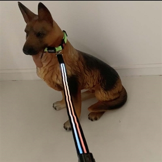 Hundesnor med Multifarvet lys